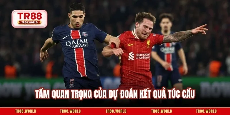 Tầm quan trọng của dự đoán kết quả túc cầu
